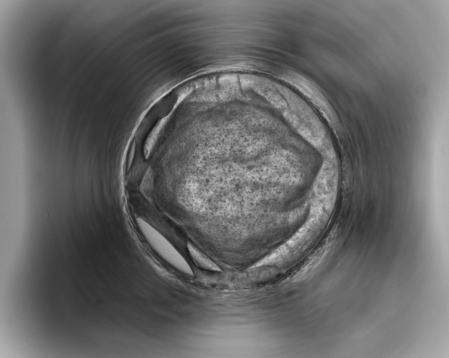 X0000096440858200802141450