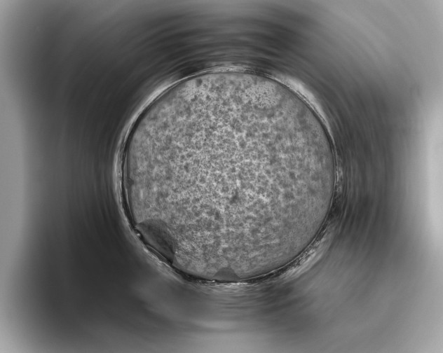 X0000096440859200802141450