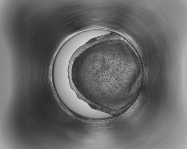 X0000096440862200802141450