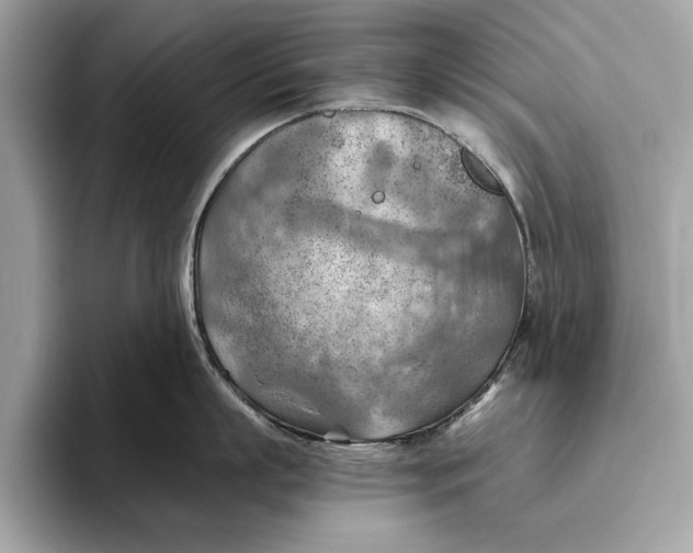 X0000096440863200802141450