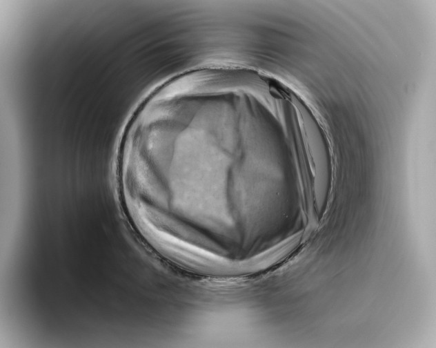 X0000096440864200802141450