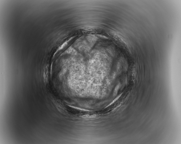 X0000096440868200802141450