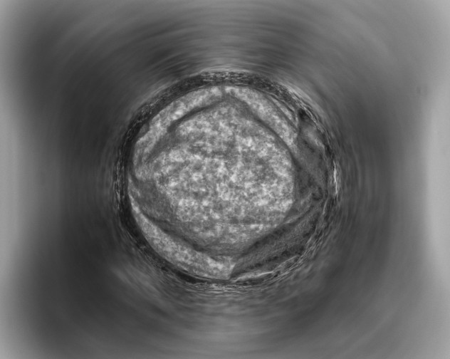 X0000096440870200802141450