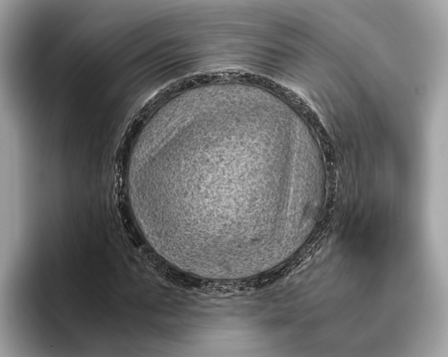 X0000096440871200802141450