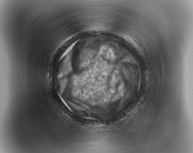 X0000096440872200802141450