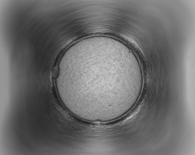 X0000096440873200802141450