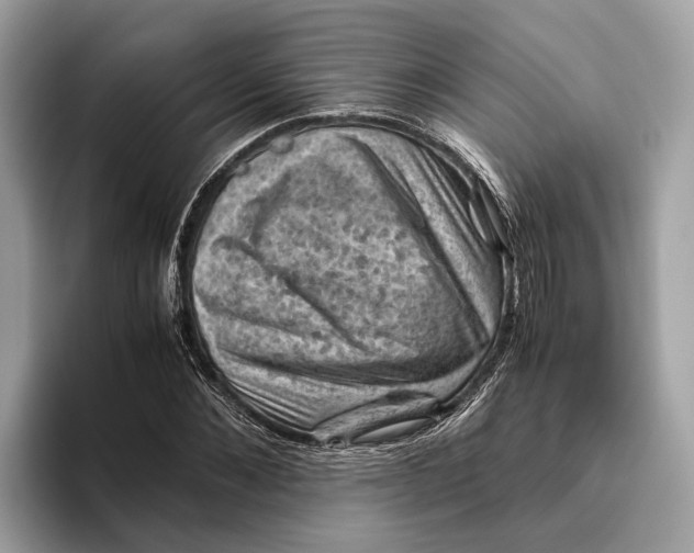 X0000096440876200802141450