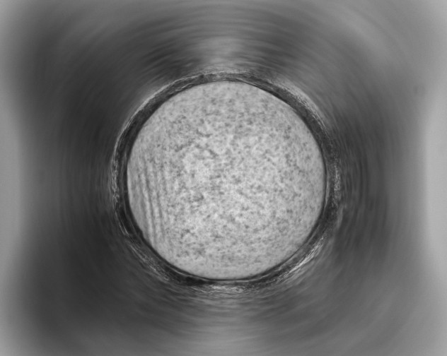 X0000096440878200802141450