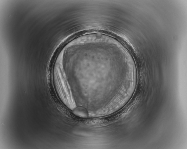 X0000096440879200802141450