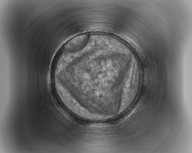 X0000096440880200802141450