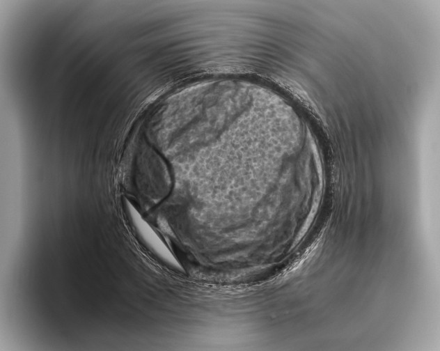 X0000096440881200802141450