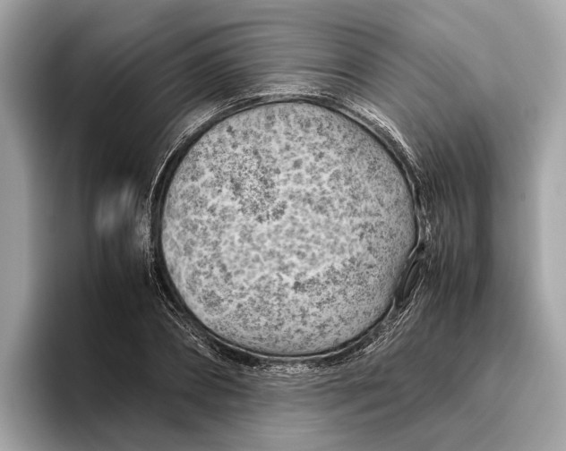 X0000096440882200802141449