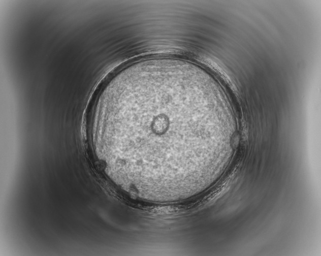 X0000096440883200802141449