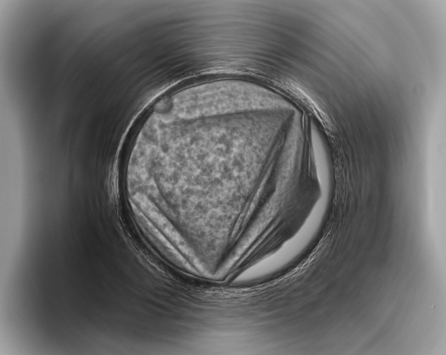 X0000096440884200802141449