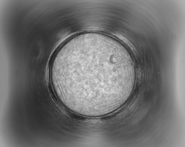 X0000096440886200802141449