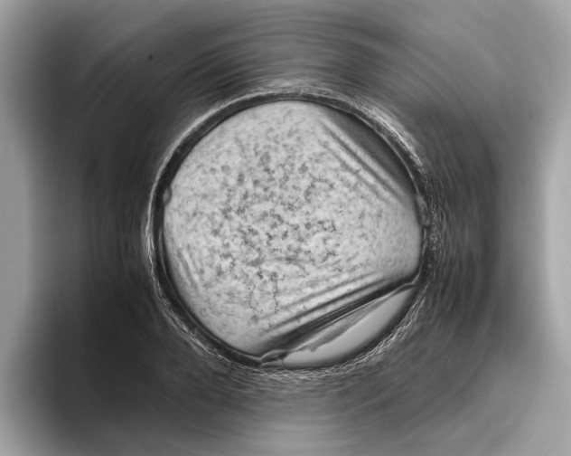 X0000096440888200802141449