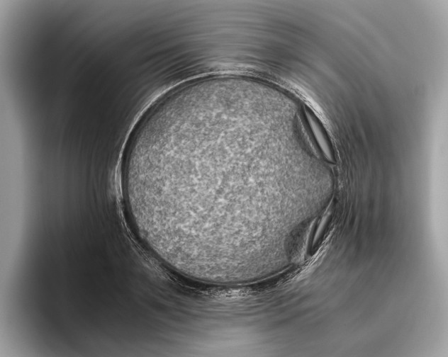 X0000096440891200802141449