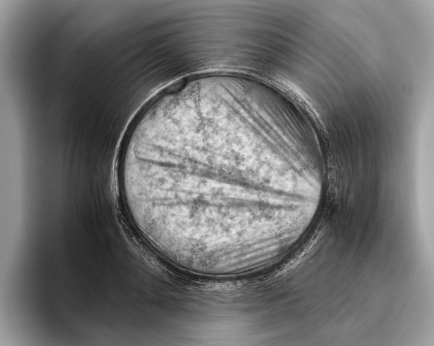 X0000096440892200802141449