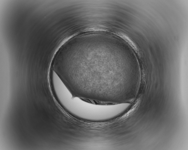 X0000096440893200802141449