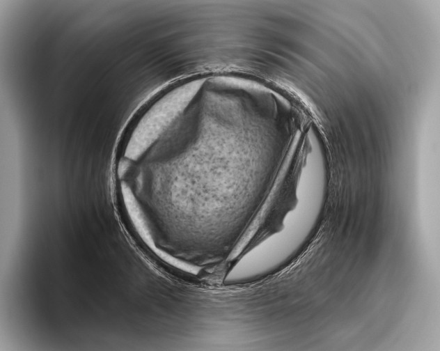 X0000096440894200802141449