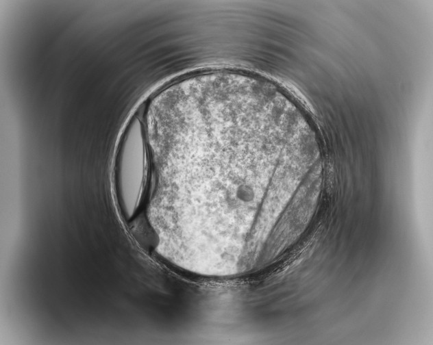 X0000096440895200802141449