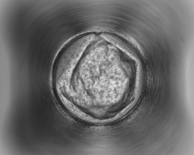 X0000096440896200802141449