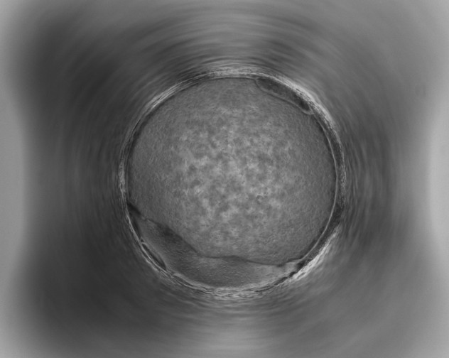 X0000096440897200802141449