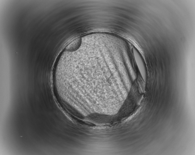 X0000096440898200802141449