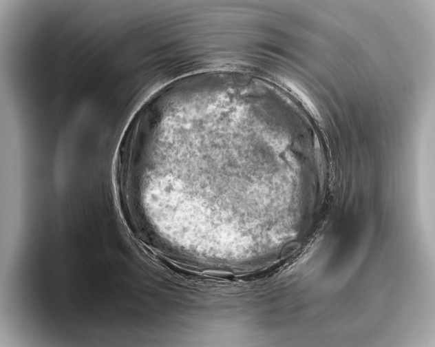 X0000096440899200802141449