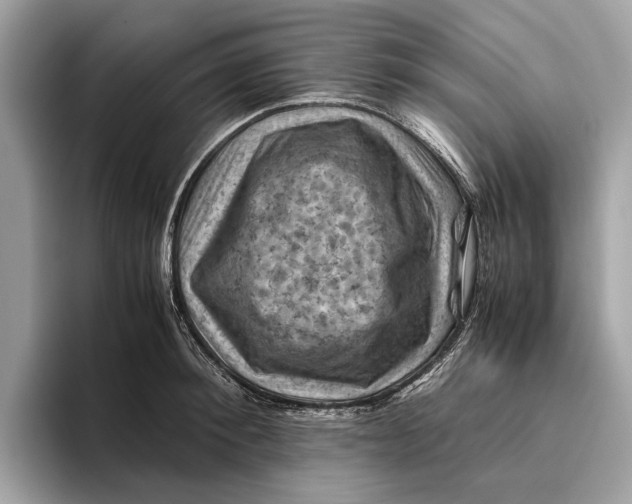 X0000096440900200802141449