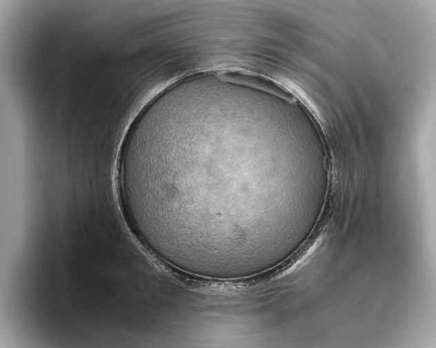 X0000096440901200802141449