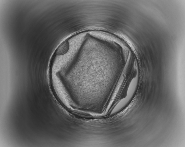 X0000096440902200802141449