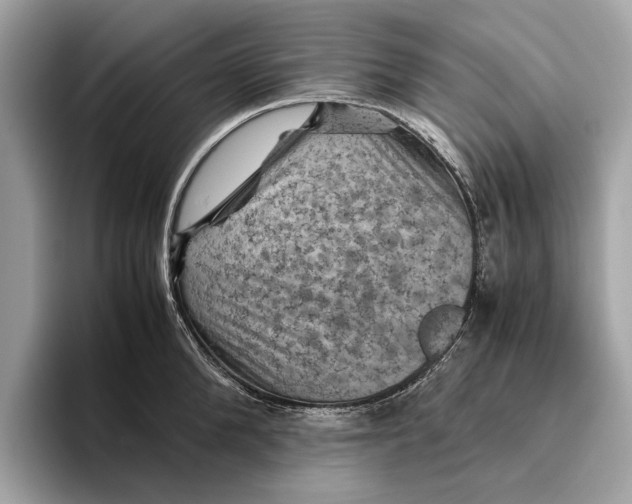 X0000096440904200802141449