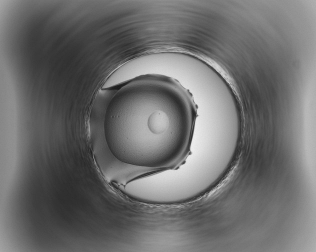 X0000096440905200802141449