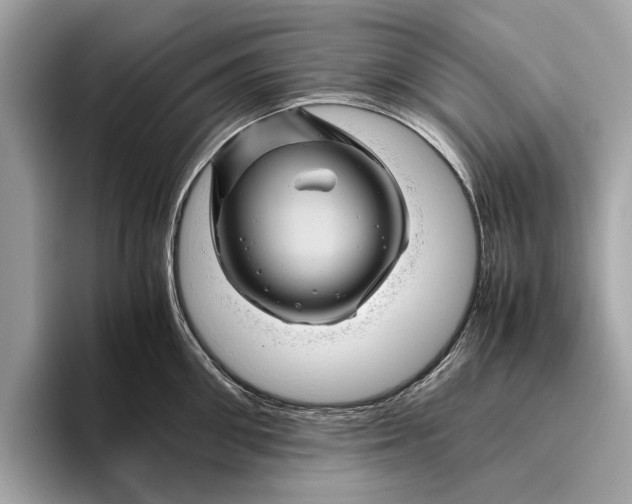 X0000096440906200802141449