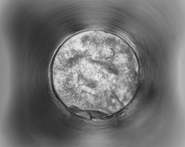 X0000096440907200802141449