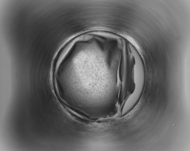 X0000096440910200802141449