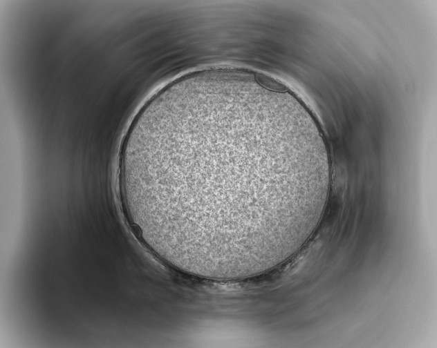 X0000096440911200802141449