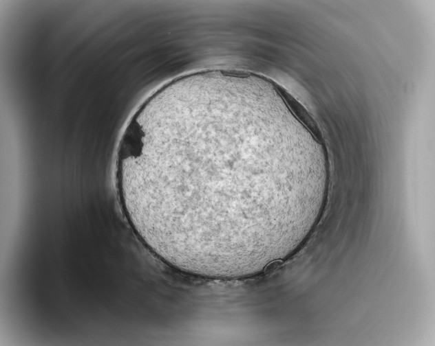 X0000096440912200802141449