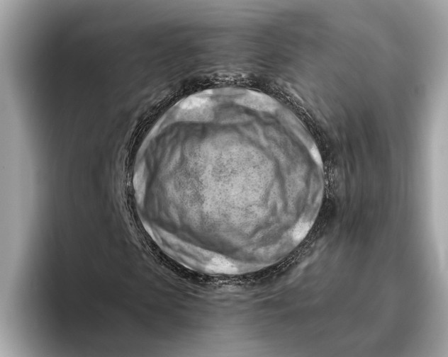 X0000096440913200802141448