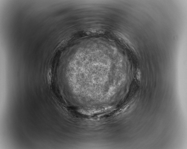 X0000096440915200802141449