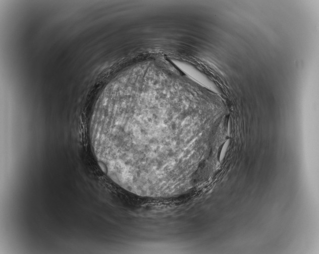 X0000096440917200802141449