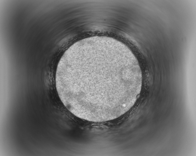 X0000096440918200802141449