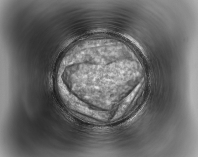 X0000096440921200802141449