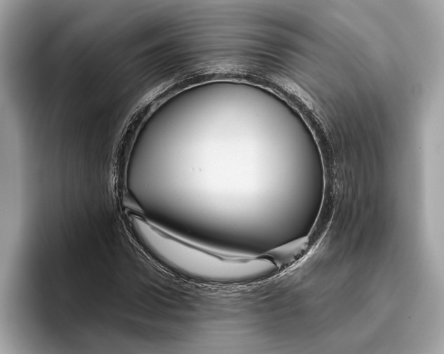 X0000096440922200802141449