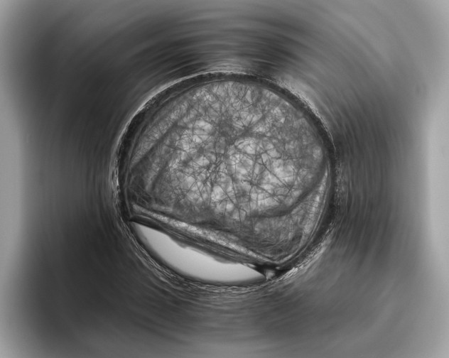 X0000096440923200802141449