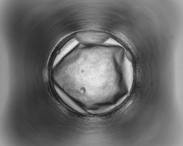 X0000096440924200802141449