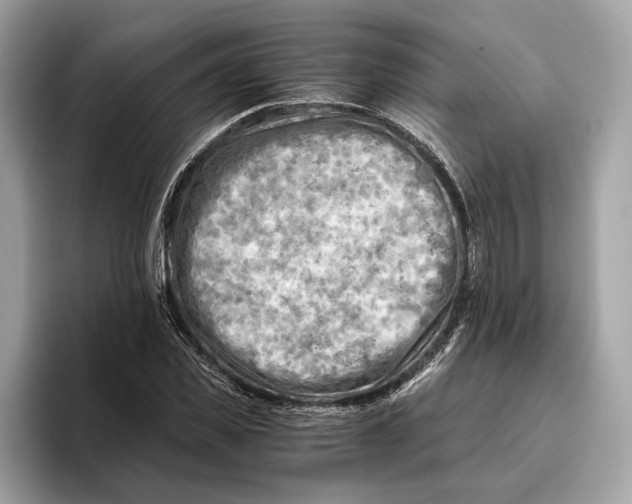 X0000096440925200802141449