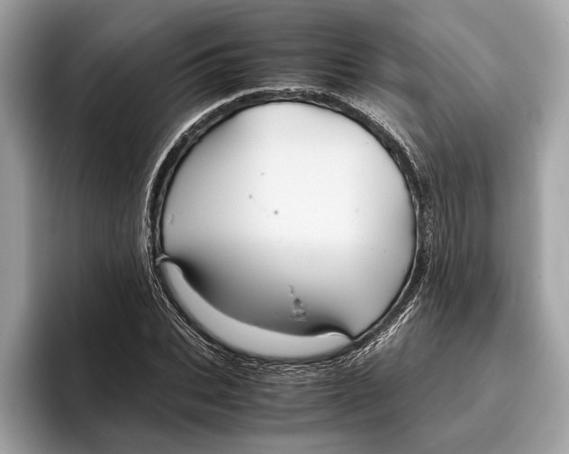 X0000096440927200802141449