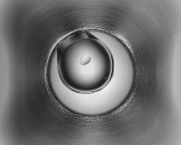 X0000096440928200802141449